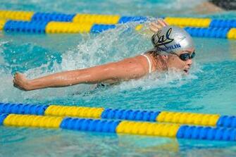 HD Wallpaper Swimming