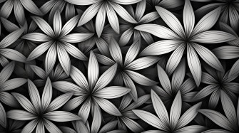 Black And White Art Wallpaper High Quality HD 4k