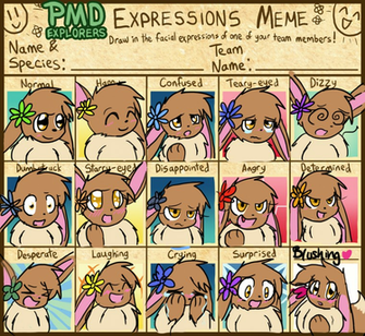 Pokemon Mystery Dungeon Team Expression Sheet By Sunniedoodles On