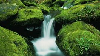 Nature Wallpaper Great Smoky Mountains National Parks