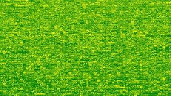 St Patricks Day HD Wallpaper Wide Screen 1080p 2k 4k