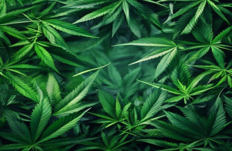 HD Weed Wallpaper 1080p