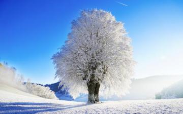 Idyllic Landscape Winter Ultra HD Desktop Background Wallpaper