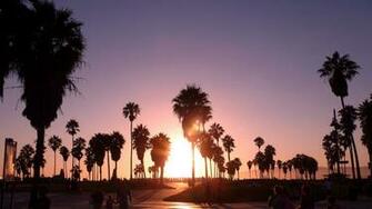 Venice Beach Los Angeles Wallpaper