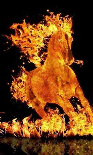 This Cool Fire Horse Live Wallpaper For