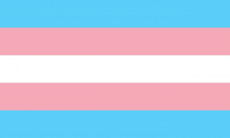 Transgender By Pride Flags