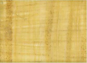 Papyrus Ing Gallery
