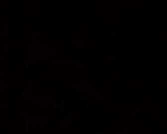 Black Wallpaper Desktop Windows