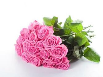 Pink Roses Desktop Background Wallpaper High Definition