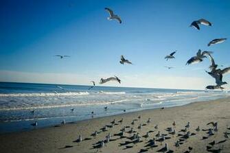 The Photo To Enlarge Then Right Click Set As A Desktop Background