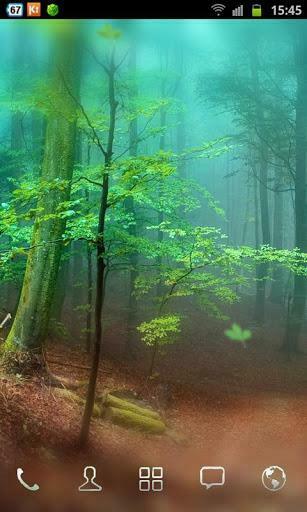 HD Wallpaper Forest Live Is Very Beautiful Real
