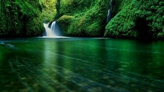 Forest HD Widescreen Wallpaper Site