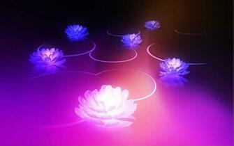 Android Honeycomb Lotus Wallpaper