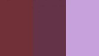 Resolution Wine Dregs And Wisteria Solid Three Color Background