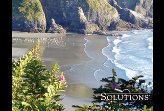 Image Oregon Coast Photo From Ledge Bright Sunny And Pink Flowers