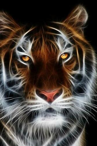 Tiger Fractal iPhone HD Wallpaper