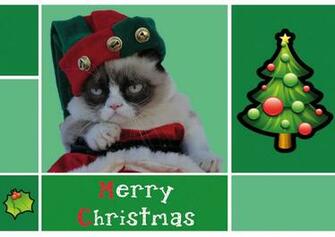 Grumpy Cat Christmas Wallpaper Animalgals