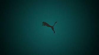 Puma HD Wallpaper Full Pictures