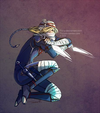 Sheik Hyrule Warriors By Ticcy