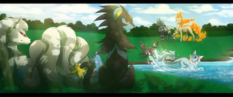Pokemon Team Full HD Wallpaper And Background