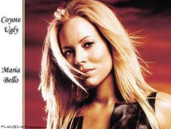 Pics Photos Coyote Ugly Wallpaper