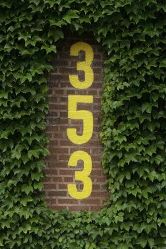 Wrigley Field Ivy The
