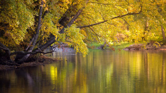 4k Wallpaper Lake