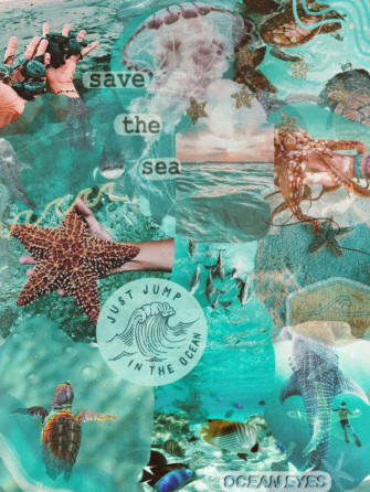 Ocean Aesthetic Mint Green Wallpaper iPhone Beach Wall Collage