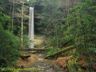 Yahoo Falls Daniel Boone National Forest Wallpaper