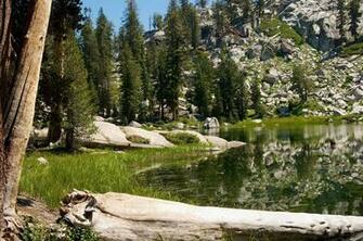 Sequoia National Park Wallpaper In HD Quality Inx