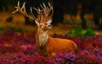 Horn Stag Wallpaper Desktop Background
