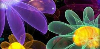 Glowing Flowers Live Wallpaper