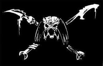 Go Back Gallery For Pirate Flag Wallpaper