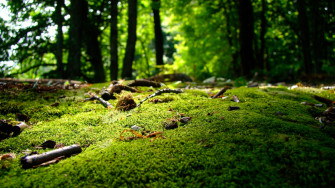 Inspiring Spring Nature 4k Wallpaper