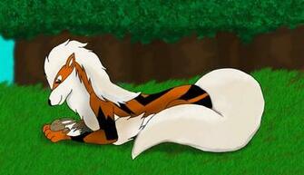 Pin Arcanine Wallpaper Growlithe Modern Shows Pokemon