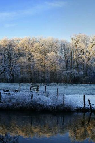 Winter Scene 3w Les Wallpaper iPhone Du Jour