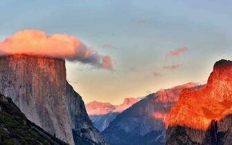Yosemite Valley Wallpaper Flower Nature HD