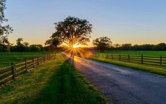 Spring Morning Wallpaper Top Background