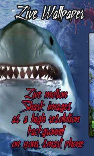 Touch The Shark Live Wallpaper For Your Android Phone