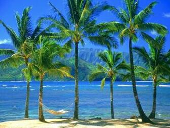 Desktop Wallpaper S Nature Huge Collection Of Amazing