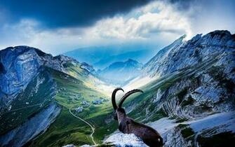 Mount Pilatus X