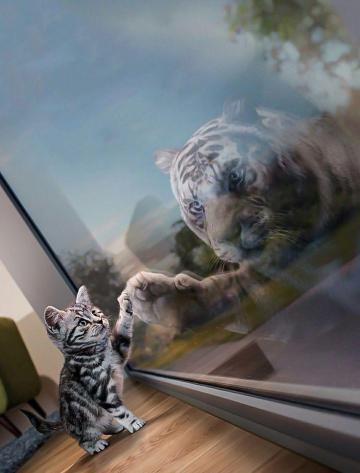 A On Cute Wild Animals Baby