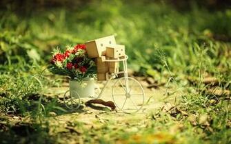 Wallpaper Flowers Grass Amazon Box Bike Danbo Cardboard