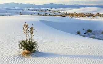 White Sands Wallpaper And Image Pictures Photos