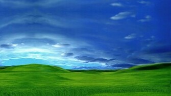 Green Digital Plain Desktop Pc And Mac Wallpaper