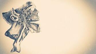 Skull Illustration Artwork Medicine Minimalism HD