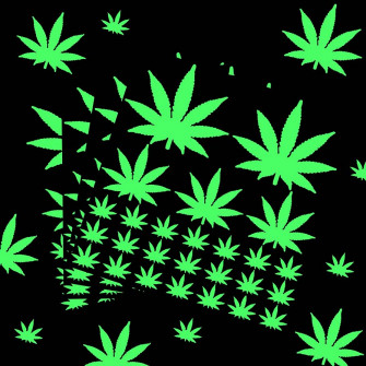 Amazon Pieces Pot Leaf Stickers Glow In The Dark