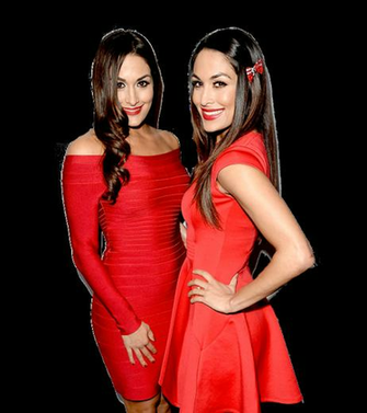 New Png Of The Bella Twins By Undertaker02