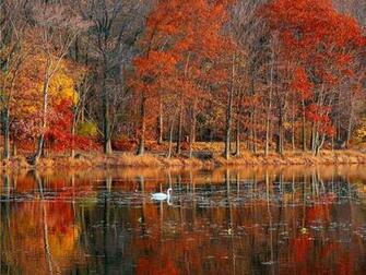 Fall Scenes Wallpaper And Screensavers Autumn Splendor