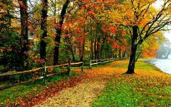 Pics Photos Fall Foliage Wallpaper